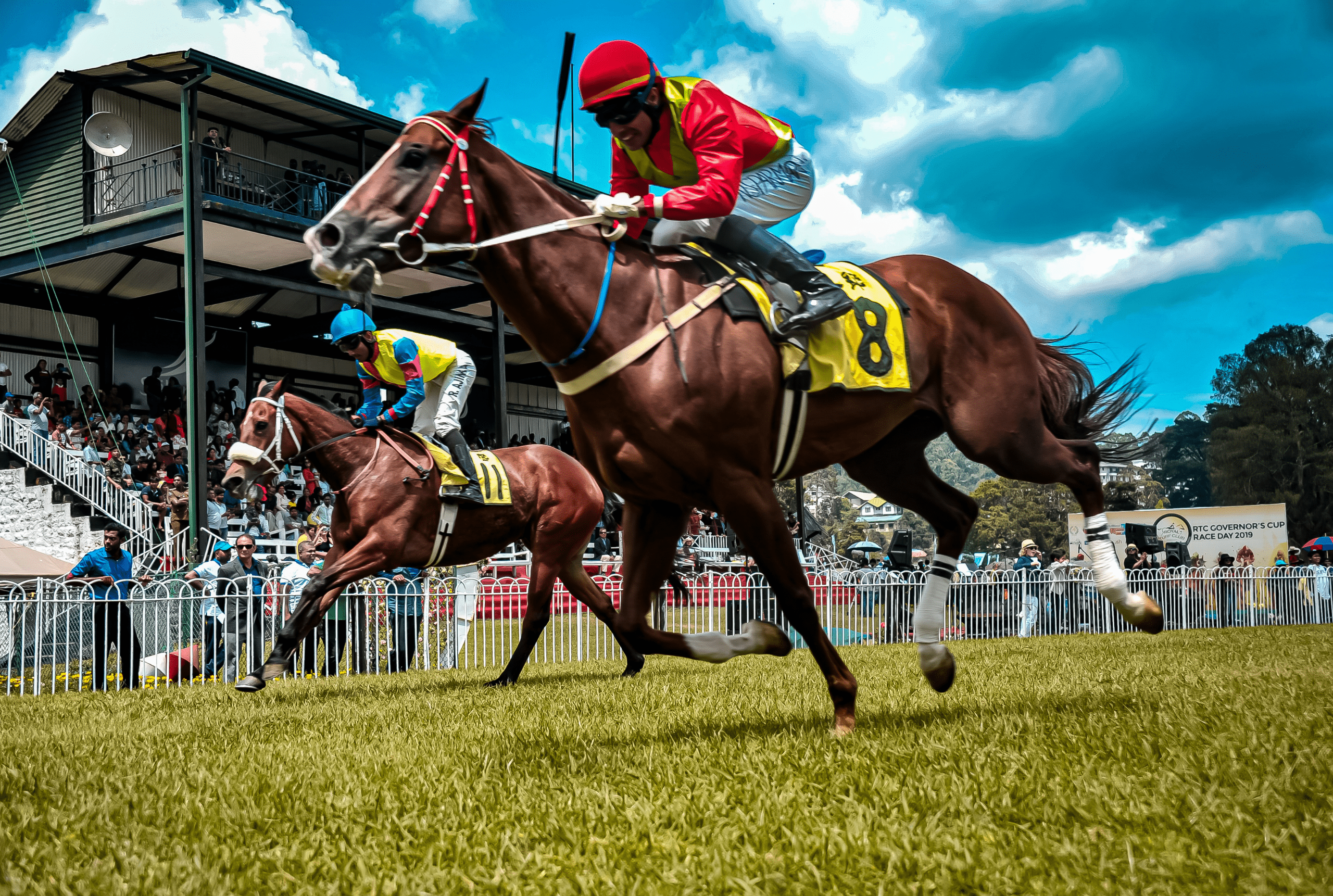 Horse Racing and Gambling